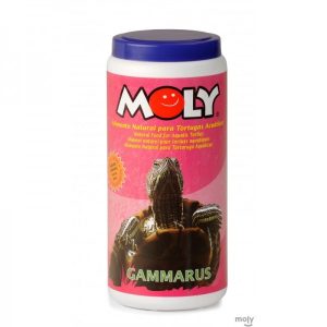 Gammarus - Moly