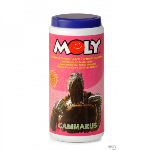 Gammarus - Moly