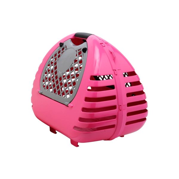 2GR Transportadora Penelope - Image 3