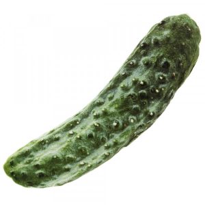 Pepino de Tecido com Matatabi