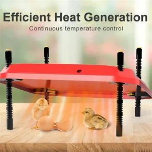 Aquecedor Elétrico para Aves